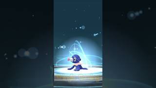 Shiny Popplio evolves into Brionne Primarina pokemongo pokemon [upl. by Ahcsat694]