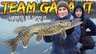 Ismete på Tunn Is  Team Galant English amp German Subtitles [upl. by Haleemaj209]