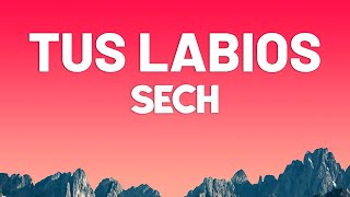 Sech  Tus Labios LetraLyrics [upl. by Adnolahs]