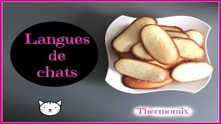 Langues de chats au thermomix [upl. by Anavas394]