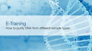 Sample preparation for nucleic acid extraction [upl. by Weyermann209]