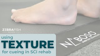 Spinal cord injury rehab amp recovery exercises sensory interventions with NABOSO [upl. by Lacombe803]