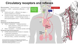 Circulatory receptors and reflexes [upl. by Vida]