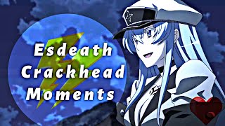 Esdeath and Tatsumi moments  akame ga kill [upl. by Arimat483]