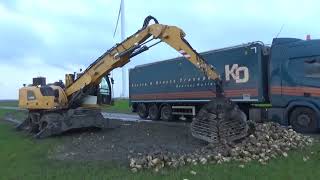 bieten laden Ronald bijl Muntendam trotsopdeboer oost Groningen farmers [upl. by Philbo]