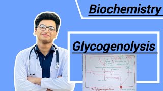 Glycogenolysis  Glycogen metabolism [upl. by Aylad]