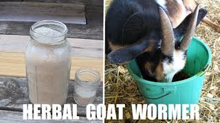 How We Deworm Our Goats  Making an Easy Natural Effective Herbal Deworming Blend [upl. by Cirdek]