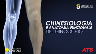 CHINESIOLOGIA del GINOCCHIO [upl. by Symons]