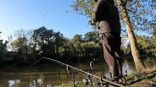 Day ticket success  Autumn carp fishing [upl. by Mimajneb]