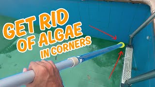 How to remove pool algae with a DIY pool cleaner that reaches every nook [upl. by Romonda]