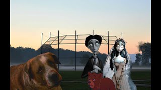 Emily Victor and Koda likes Cujo 83 [upl. by Ananna]