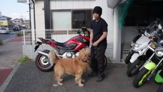 ホンダNC700X参考動画 [upl. by Autumn190]