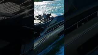 Riva running wild Miami Beach [upl. by Errised603]