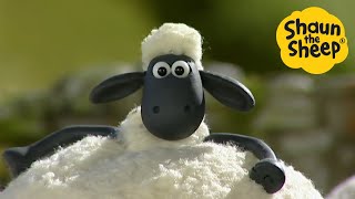 Shaun the Sheep Special 🐑Season 1 Holiday Watch Party  Cartoons for Kids 🐑 Full Episodes 4 hours [upl. by Carmine]