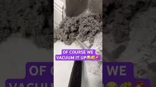 Dryer vent cleaning satisfying funny viralshort homeowner propertymanagement youtuber diy [upl. by Wadleigh]