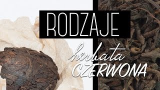 Rodzaje i przygotowanie czerwonej herbaty Puerh 25 Czajnikowypl [upl. by Doble]