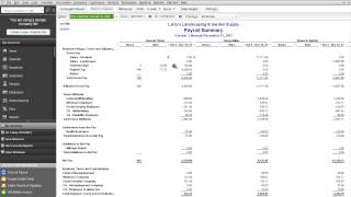 RPPC Inc  QuickBooks Payroll Summary Report [upl. by Adihahs]