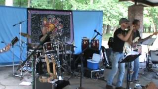 Possum Kingdom  The Toadies  Neighborhood Picnic Band 2012 [upl. by Naesar]