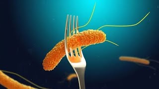 Understanding Salmonellosis and its Medical Implications 3 MInutes [upl. by Nigam]