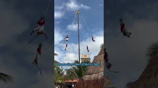 Witness the Breathtaking Papantla Flyers Performance at Costa Maya Port [upl. by Newcomb18]