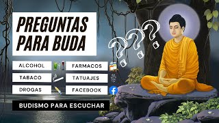 Mejor Pregúntale a Buda  Budismo para Escuchar ☸️ Respuestas Budistas a Preguntas Actuales 25 [upl. by Olimreh]