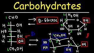 Carbohydrates  Haworth amp Fischer Projections With Chair Conformations [upl. by Rad590]