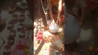 Chachi Ho chala godan Aaj Govardhan puja sabhi ne milkar manae godhan Puja [upl. by Legnalos]