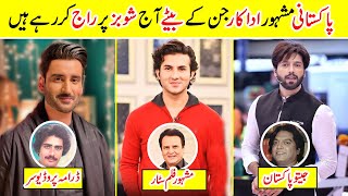 Top Famous Successful Sons of Pakistani Actors  Amazing Info [upl. by Amandie]