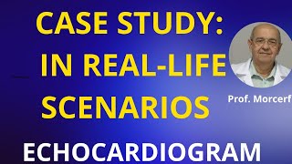 Wall Evaluation in Coronary Disease Case 1 [upl. by Shaer]