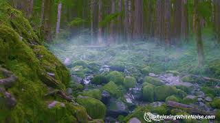 Rains Sound  Stream for Sleep Focus Studying  4K Nature Video pleasing sounds 10 Hours [upl. by Mcarthur]