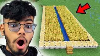 I Made A Handmade Wheat Farm  Minecraft 7 [upl. by Teik]