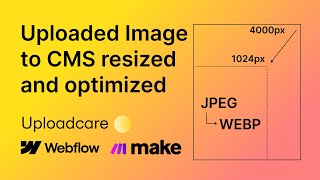 Uploaded Image to Webflow CMS resized and optimized [upl. by Hook]