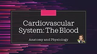 Anatomy and Physiology Cardiovascular System  The Blood [upl. by Novikoff715]