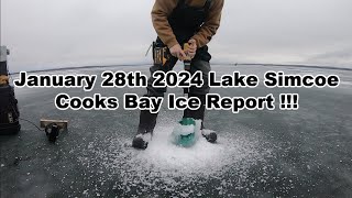 Jan 28th 2024  LAKE SIMCOE Cooks Bay Ice Report [upl. by Ttessil]