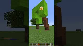 Normal Features vs Emoji Meme Face shorts minecraft meme [upl. by Edlitam840]