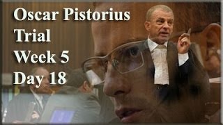 Oscar Pistorius Trial Tuesday 8 April 2014 Session 1 [upl. by Ekle]