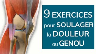 9 exercices pour soulager la douleur au genou [upl. by Arykahs]