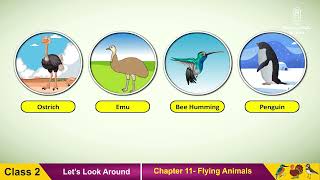 EVS Class 2  Unit 5 Plants and Animals  Chapter 11 Flying Animals [upl. by Recor708]