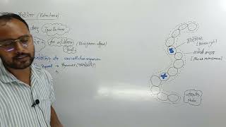 Cyanobacteria  KINGDOM MONERA  EUBACTERIA CLASS 11  CYANOBACTERIA CLASS 11 [upl. by Babara205]