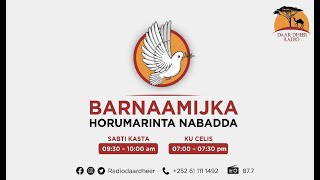 Barnaamijka Horumarinta nabadda [upl. by Janifer768]