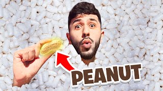 Find The REAL Peanut in 1000000 Packing Peanuts Pool [upl. by Rodl]