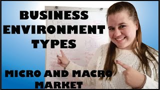 Business Environment Types Overview Lesson for Grade 10 11 and 12 [upl. by Ihp480]