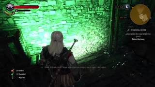 The Witcher 3 Wild Hunt  A Towerful Of Mice  Explore The Tower [upl. by Thebault]