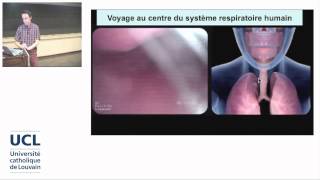 2 Lanatomie respiratoire de la bouche aux alvéoles pulmonaires [upl. by Vidal]