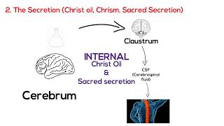 CEREBRUM  Sacred Secretion  Christ Oil  Chrism part 4 [upl. by Acemahs]