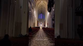 Inside the Magnificent Cathedral of Chartres Paris Cathedral tour [upl. by Yzzik]