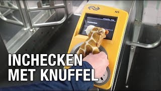 Inchecken met knuffel [upl. by Mella]