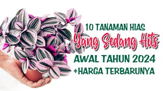 10 Tanaman Hias Yang Sedang HITS Januari 2024 [upl. by Enahsed]