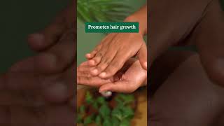 Ayurvedic Hair oil to Nourish Strengthen amp Shine hair ayurvedaorganichaircarehairgrowthproducts [upl. by Ater]