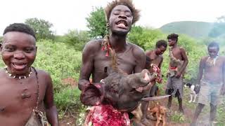 OMG HADZABE HUNTERS HAD A GOOD HUNT TODAY HADZABE TRIBE ORGINAL HUNTERS IN LAKE EYASI KARATU [upl. by Claudine122]